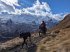 Aufbruch ins Freie - Bild 10