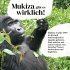 Mukiza - Bild 4