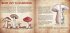 Recipes from the Shirefolk - Bild 4