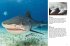 Sharks & Underwater Predators - Bild 8