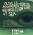 Olive Takes to the Sea - Bild 2
