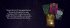 Starseeds-Karten. Neue Dimensionen des... - Bild 11
