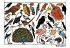 Zoo-ologie - Bild 3