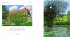 HOCKNEY TOTAL - Bild 9