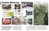 Unsere Welt in 1000 Bildern. Geschichte - Bild 8