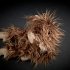 sigikid 39697 - Affe Chimp Jump... - Bild 3