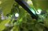 LBM 10m Smart Outdoor Light Chain - 50... - Bild 7