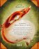 Der schlaflose Fuchs und die Suche nach... - Bild 4