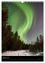 Aurora Borealis en Scandinavie... - Bild 7