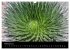 Paradise on Earth HAWAII (Wall Calendar... - Bild 8