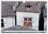 Collection Terre LOT (Calendrier mural... - Bild 3
