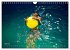 AQUAPASSION (Calendrier mural 2025 DIN... - Bild 11