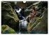 Passion du nu artistique (Calendrier... - Bild 10
