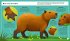 Capybara (Young Zoologist) - Bild 2