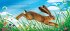 I Am Hattie the Hare - Bild 2