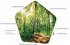 Olymp Nature BOX - Bild 14