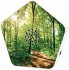 Olymp Nature BOX - Bild 7