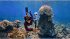 Insta360 X4 Invisible Dive Case - Bild 9