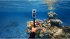 Insta360 X4 Invisible Dive Case - Bild 10