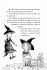 Zauberei und Eulenschrei / Petronella... - Bild 9