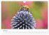 Hummeln und Bienen (Wandkalender 2025... - Bild 10