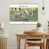 Islandhunde (Wandkalender 2025 DIN A3... - Bild 2