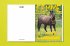 Queer Horses - Bild 5