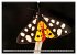SCHMETTERLINGE DER NACHT (Wandkalender... - Bild 9