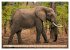Die Elefanten von Sambia (Wandkalender... - Bild 7
