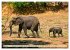 Die Elefanten von Sambia (Wandkalender... - Bild 9