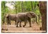 Die Elefanten von Sambia (Wandkalender... - Bild 10