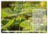 Meditation - Ein Kalender zum Mitmachen... - Bild 11