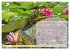 Meditation - Ein Kalender zum Mitmachen... - Bild 13