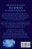 The Master Builder's Blueprint for... - Bild 2