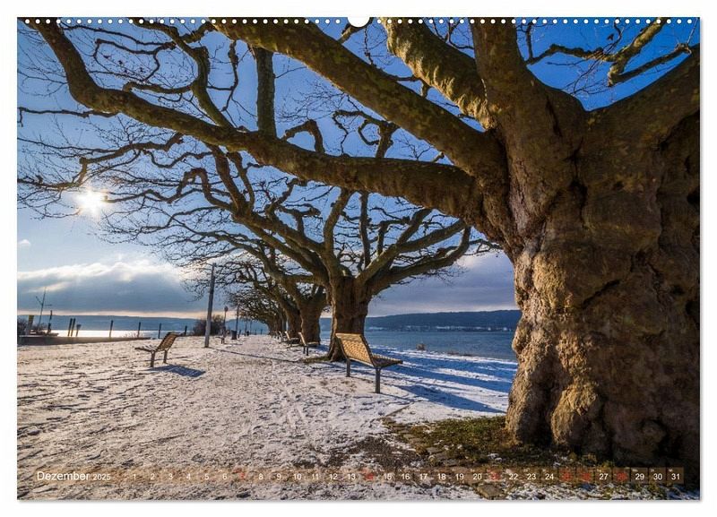 Farbenfroh Bodensee (hochwertiger Premium Wandkalender 2025 DIN A2 quer), … von Calvendo; Marc