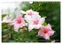 Beschwingte Blumenwelt (Wandkalender... - Bild 11