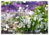 Beschwingte Blumenwelt (Wandkalender... - Bild 13