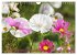 Beschwingte Blumenwelt (Wandkalender... - Bild 5