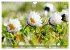 Beschwingte Blumenwelt (Wandkalender... - Bild 7