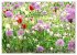 Beschwingte Blumenwelt (Wandkalender... - Bild 8