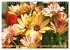 Beschwingte Blumenwelt (Wandkalender... - Bild 9