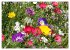 Beschwingte Blumenwelt (Wandkalender... - Bild 10