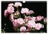 Romantische Rosenträume (Wandkalender... - Bild 3