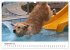 LUSTIGE HUNDEWELT Hunde in... - Bild 15