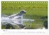 Lebensfrohe Labradore (Tischkalender... - Bild 11