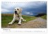 Lebensfrohe Labradore (Tischkalender... - Bild 4