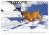Lebensfrohe Labradore (Tischkalender... - Bild 7