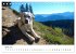 Lebensfrohe Labradore (Tischkalender... - Bild 10