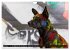 Coole bunte Hunde (Wandkalender 2025... - Bild 12