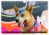 Coole bunte Hunde (Wandkalender 2025... - Bild 5